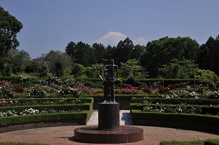 19日広見公園1