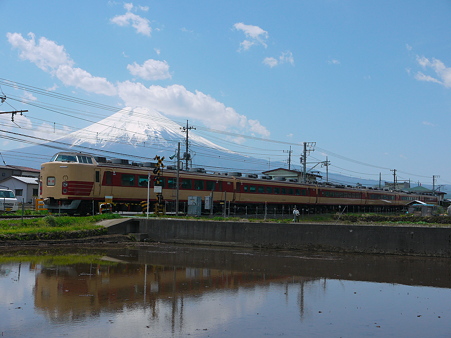 富士芝桜まつり号