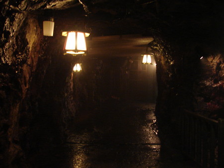 DSC05601