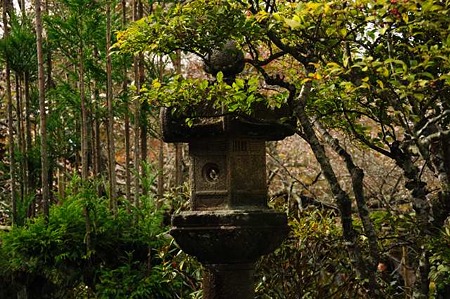0911181045_DSC_0819