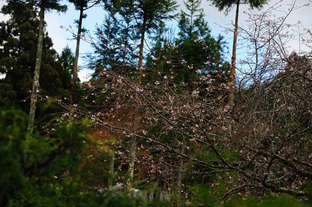0911181049_DSC_0854
