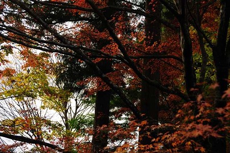 0911181102_DSC_0944