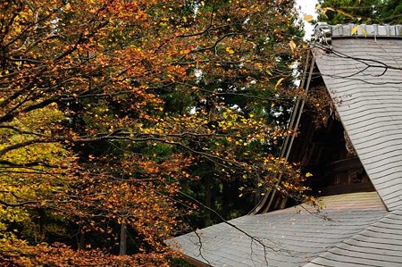 0911181204_DSC_1128