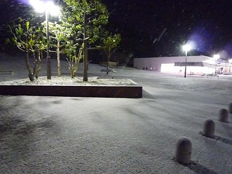 0912312102_P1610369