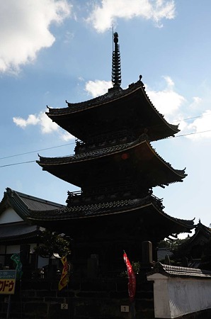 1001011430_DSC_5508