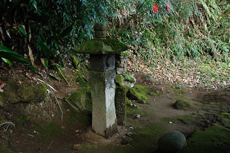 1001021045_DSC_6420