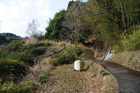 1001021244_DSC_6629