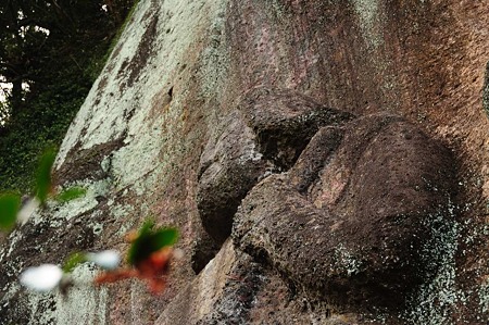 1001021612_DSC_7486