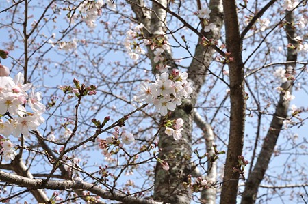 1003221121_DSC_1028