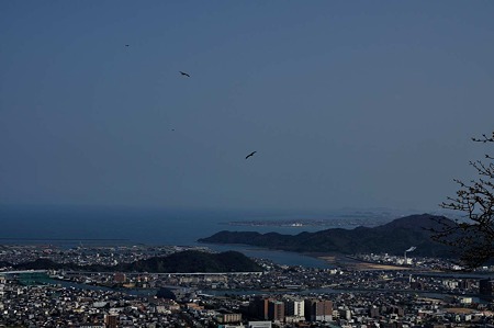 1003221434_DSC_1120