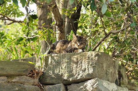 1003221550_DSC_1256