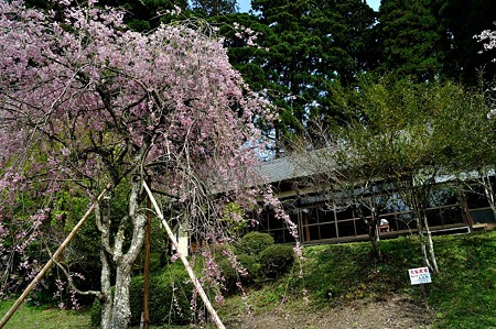 1005030848_DSC_2948