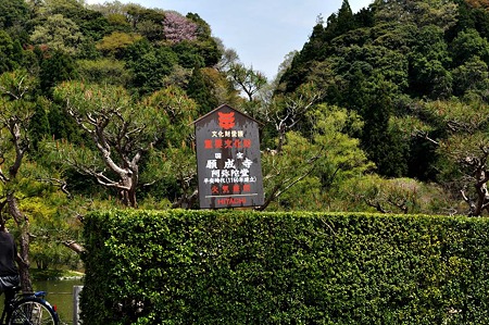 1005031032_DSC_3080
