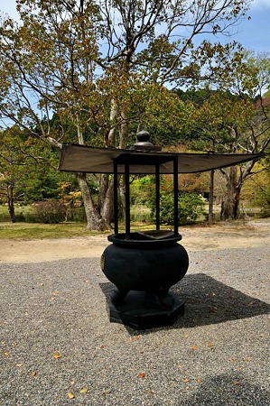 1005031044_DSC_3116