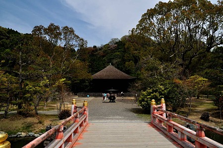 1005031046_DSC_3135