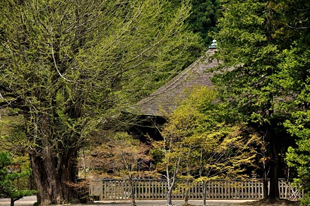 1005031054_DSC_3167