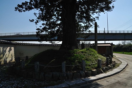 1005031430_DSC_3606