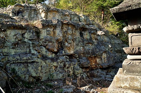 1005031540_DSC_3773
