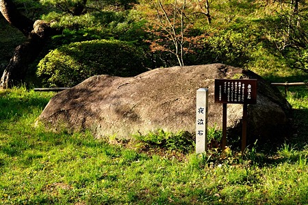 1005031628_DSC_3944