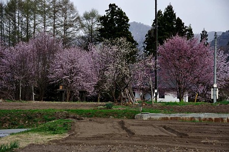 1005041703_DSC_4800