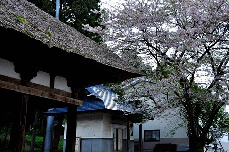 1005051709_DSC_5981