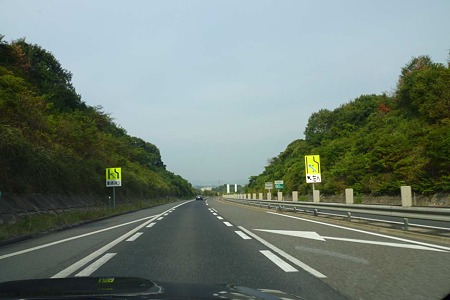 1010190856_P1710227