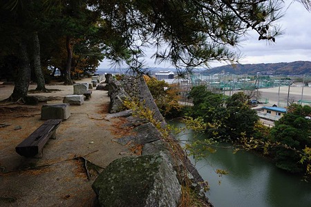 1011231004_DSC_4234