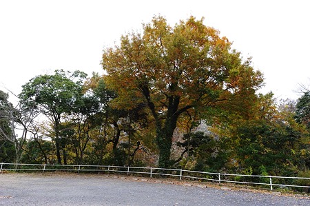 1011231027_DSC_4289
