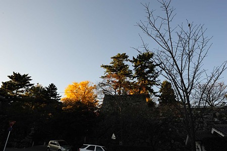 1011231556_DSC_4860