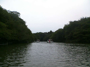 20091007_3020902