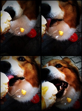 maro11111