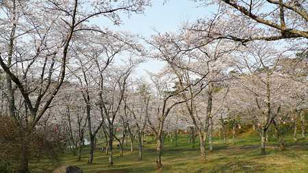 萩尾公園(1)