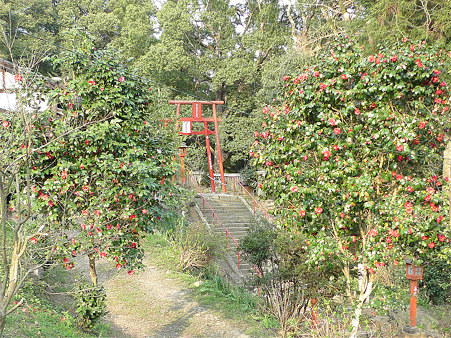 萩尾公園(4)
