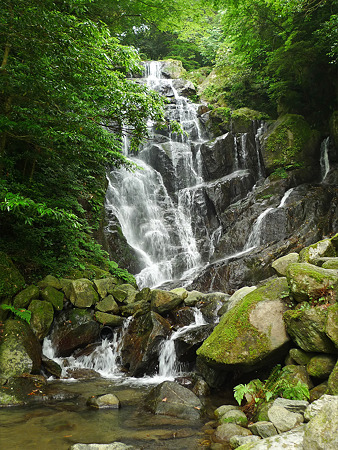 白糸の滝(5)