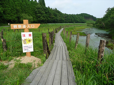 樫原湿原(2)