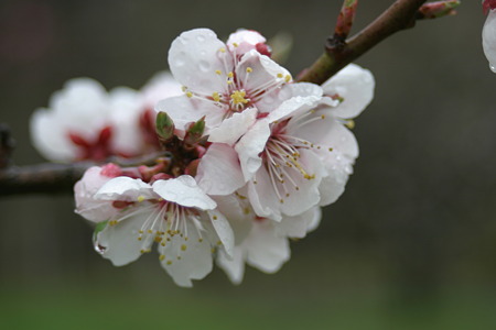 20110515_1