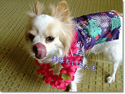 美味ちいもん