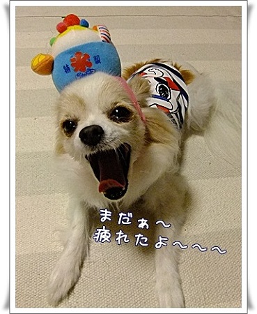 つかれたよ