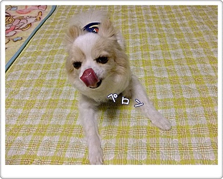 ペロン