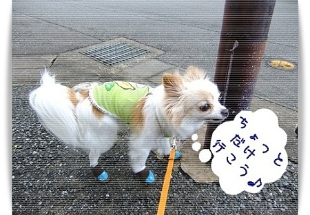 行く♪