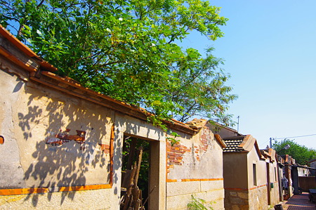 IMGP0052