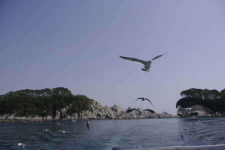 浄土ヶ浜 (83)