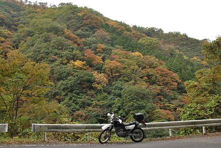 2010年・紅葉のR371-2