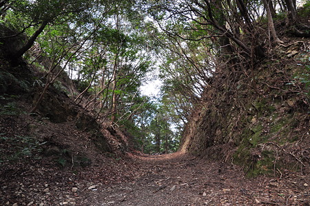 国道260号線・中坂隧道旧道-5