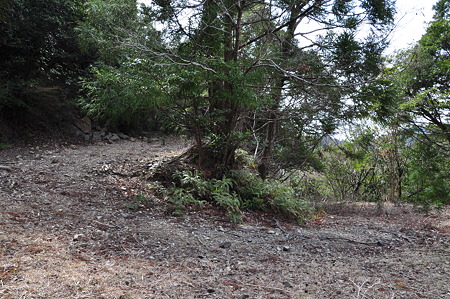 国道260号線・中坂隧道旧道-8