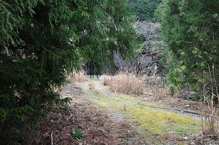 国道260号線・中坂隧道旧道-A