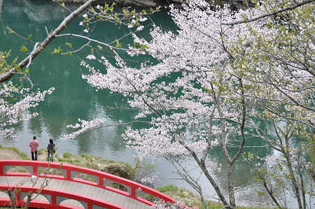 桜淵公園