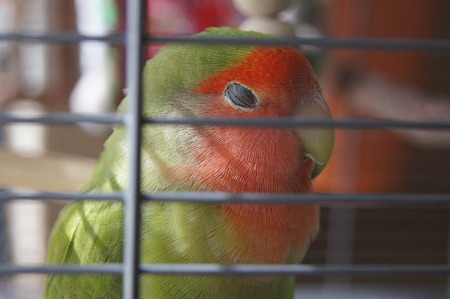 DSC03066