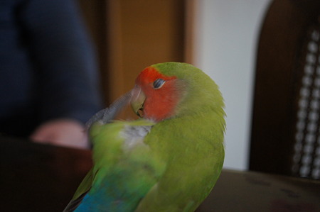 DSC09948