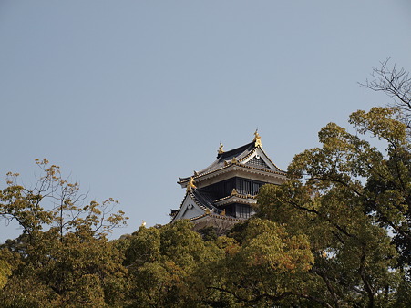P3220763